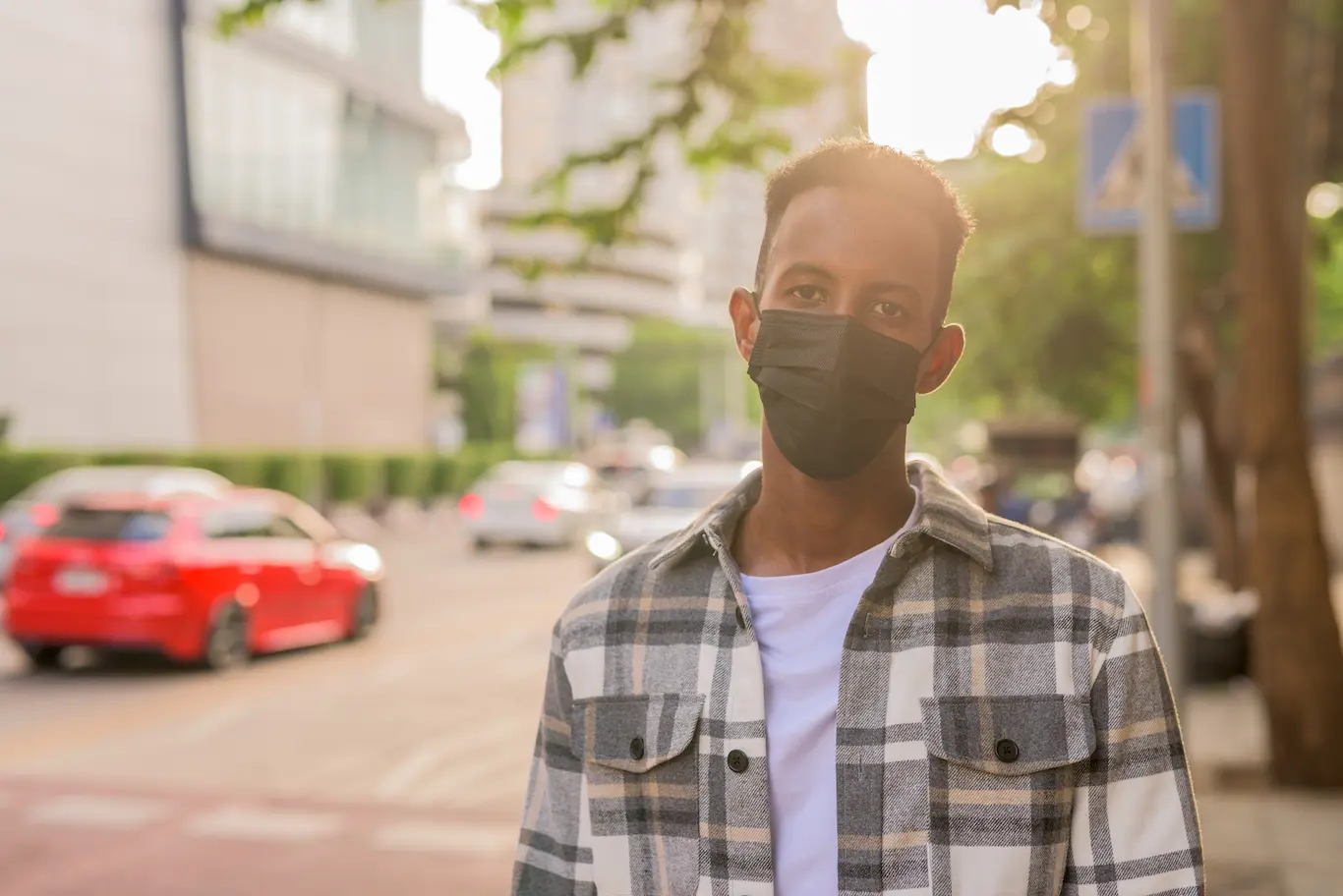 What happens to the dust after it is swept | Earth Neutral